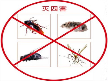 西南杀虫灭鼠没有看到害虫出现，要不要进行定期虫害防治