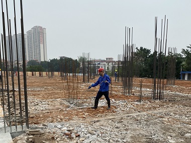 三水验收白蚁公司地基防白蚁该怎么做才靠谱